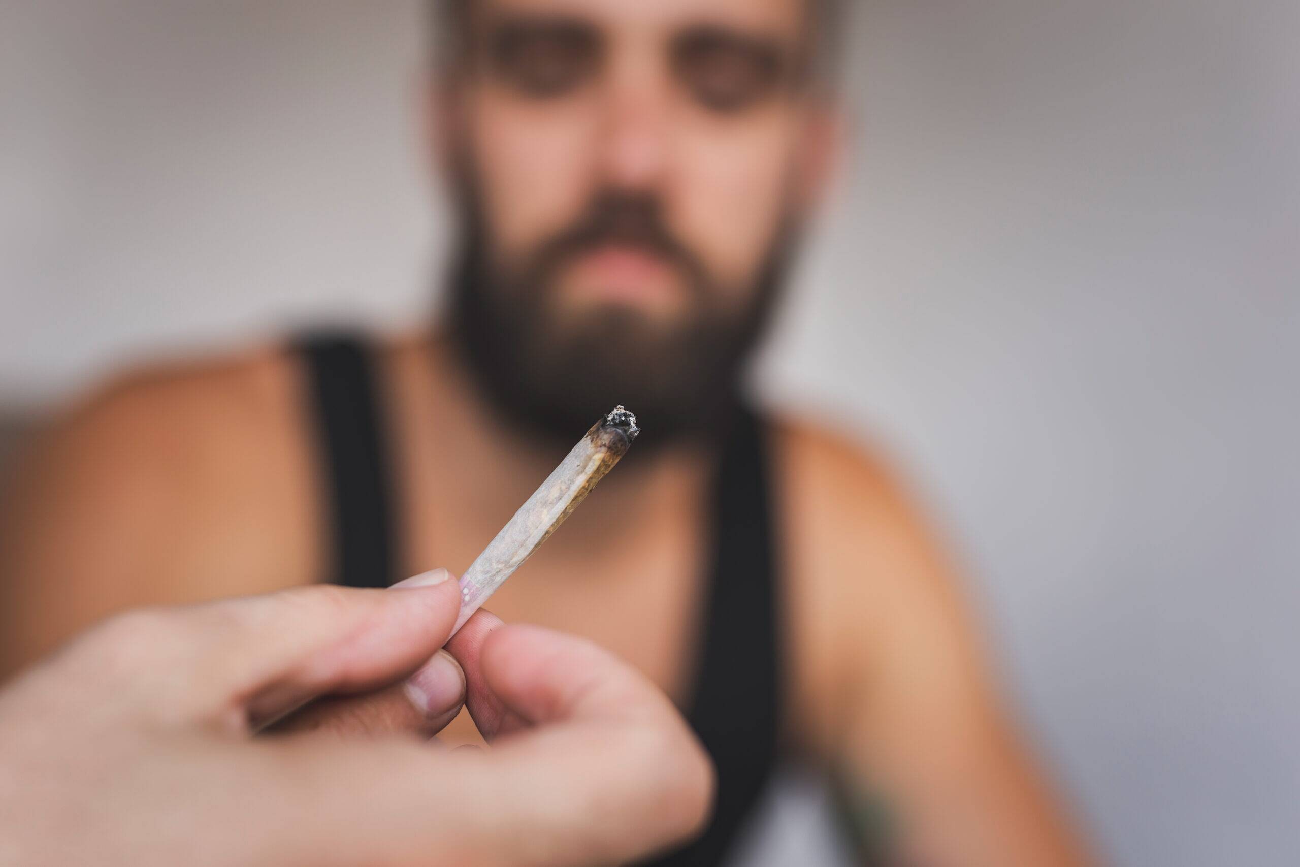 people using marijuana to prevent opiate relapse, marijuana as a gateway drug to opioid use